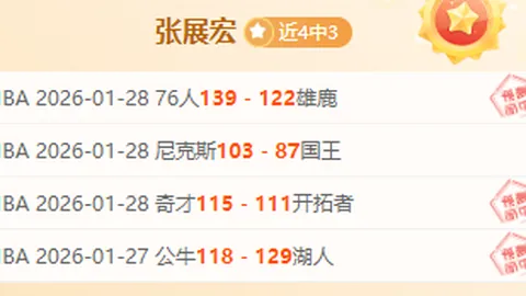 《篮球盛宴：深度解析森林狼与独行侠，揭秘精彩对决！》